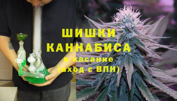 тгк Аркадак