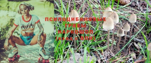 ГАЛЛЮЦИНОГЕННЫЕ ГРИБЫ Армянск