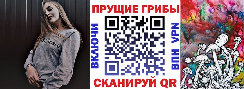 Галлюциногенные грибы GOLDEN TEACHER  Грязи 